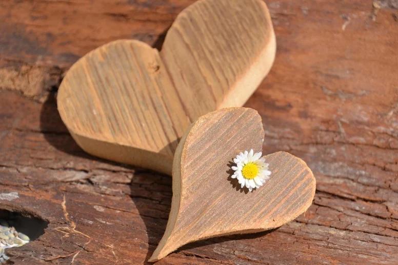 Cœurs en bois et une pâquerette