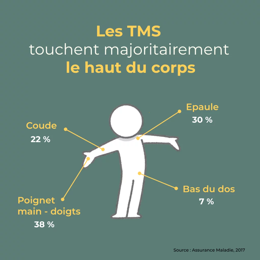 Représentation graphique de chiffres sur les TMS en France